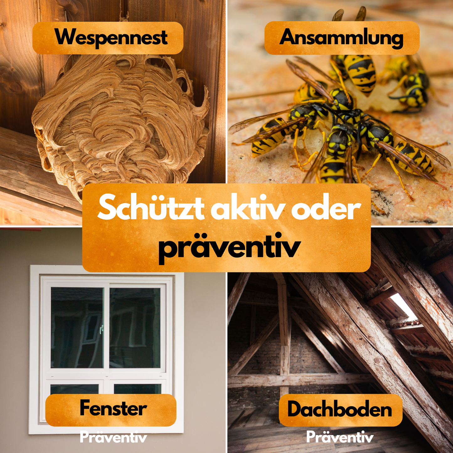 Wespenfalle mit 2x50ml Lockstoff – Ohne Insektizide – Made in EU