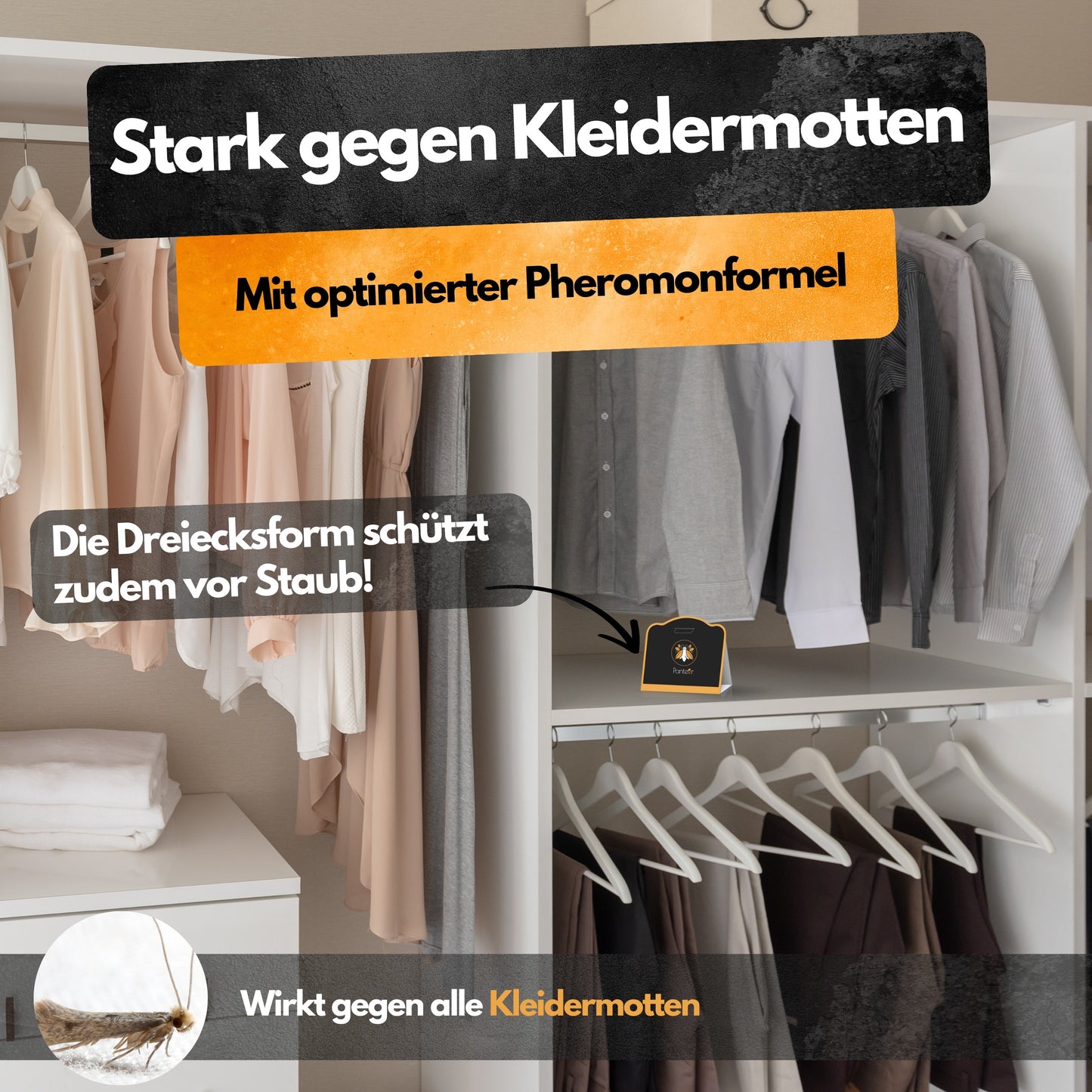 Kleidermotten Mottenfalle - 6 Stück - Pheromonfalle - Zum Monitoring