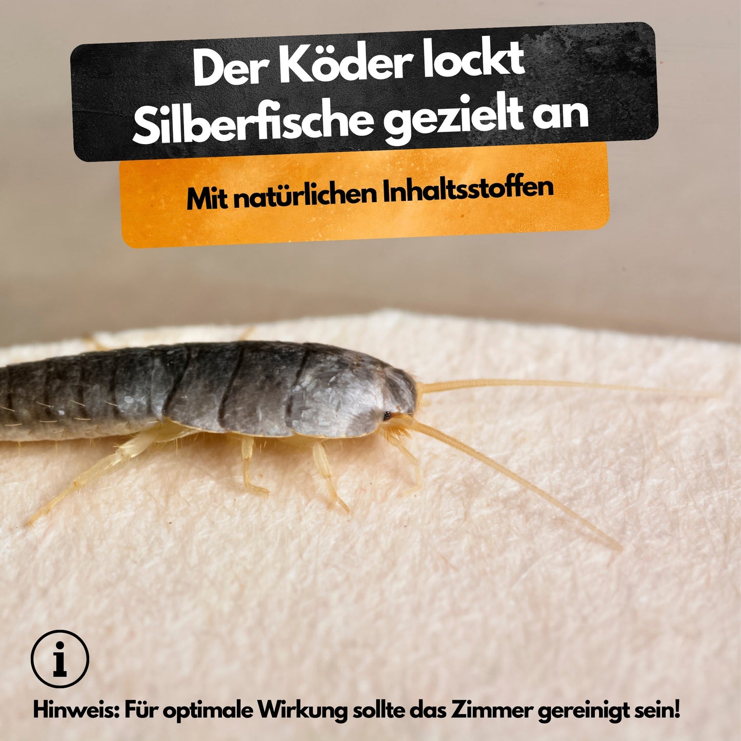 Silberfisch Falle - 6 Stück - Inkl. Köder - Zwei Fallen System - Monitoringfalle