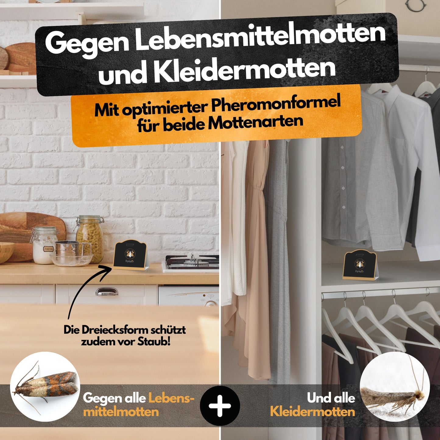 Mottenfalle - 6 Stück - Mottenschutz gegen 2 Mottenarten - Zum Monitoring