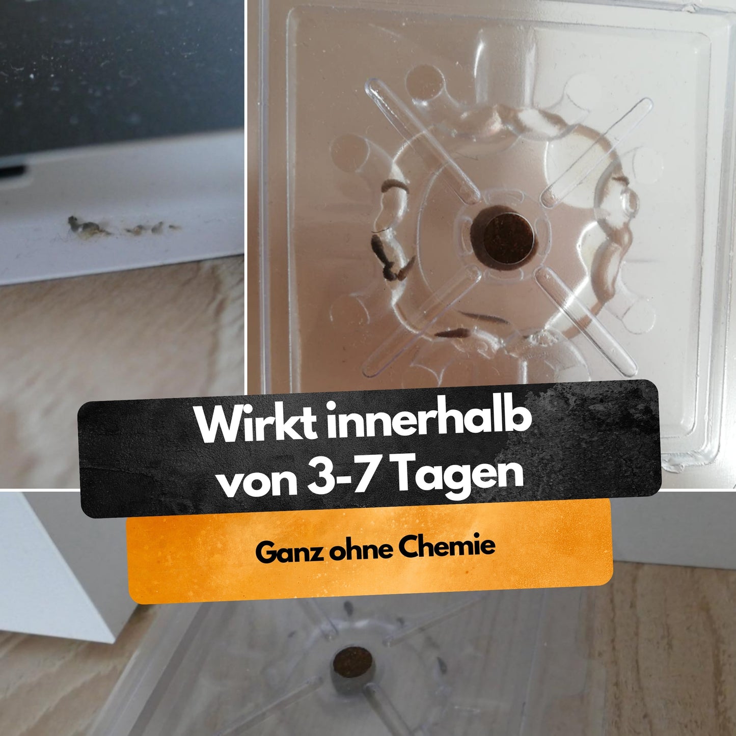 Silberfisch Falle - 6 Stück - Inkl. Köder - Zwei Fallen System - Monitoringfalle