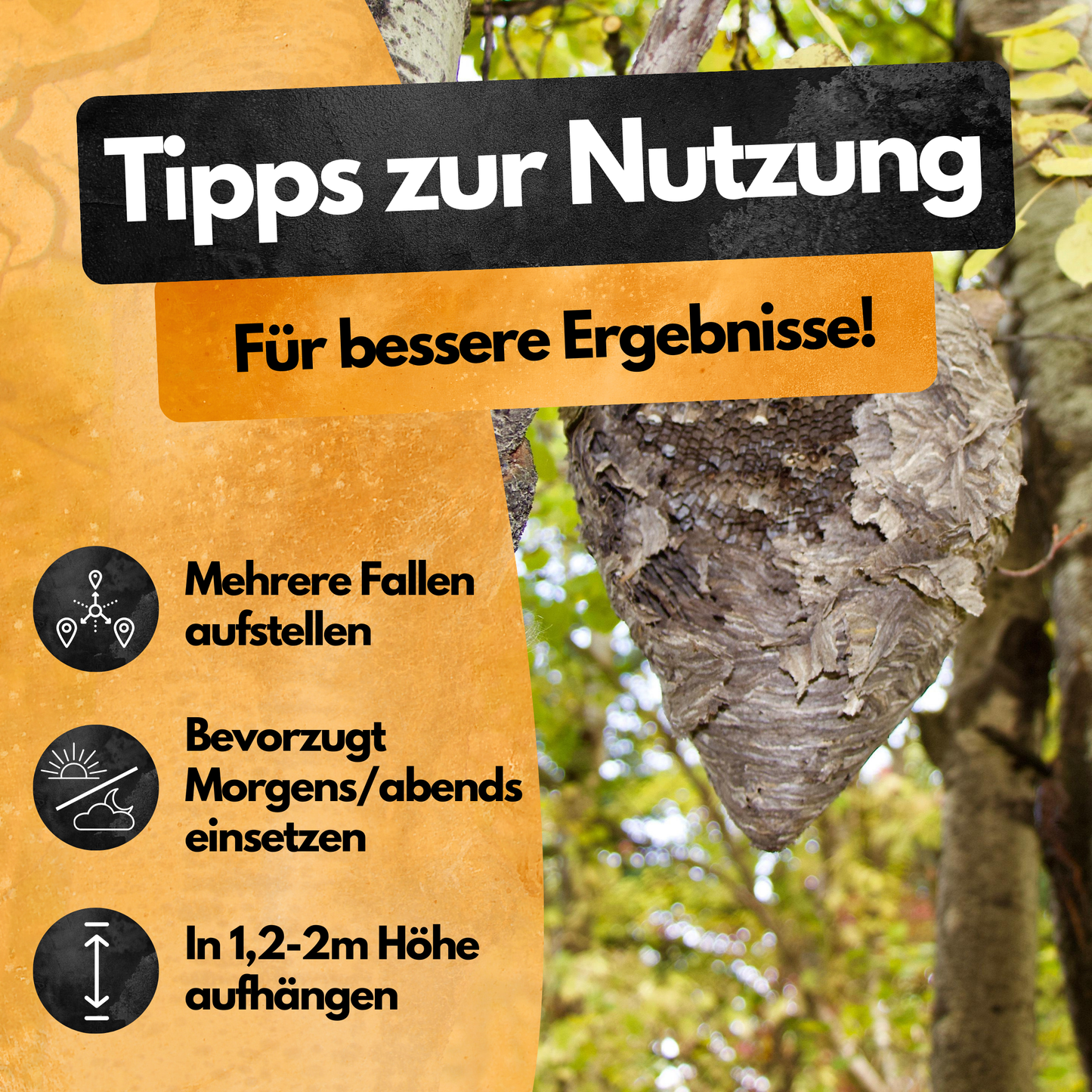 Wespenfalle mit 2x50ml Lockstoff – Ohne Insektizide – Made in EU