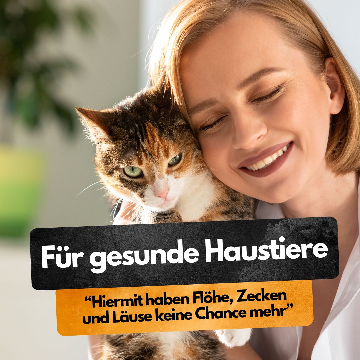 Panteer ® 3er Pack Mottenfalle - 6 Stück x3=18 Stück - Mottenschutz gegen 2 Mottenarten