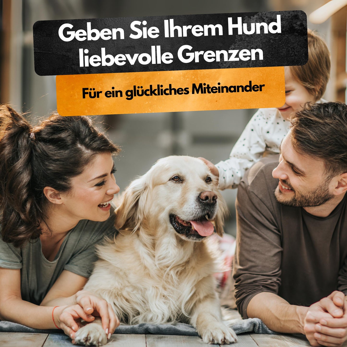 Contra Hunde Spray - 500 ml