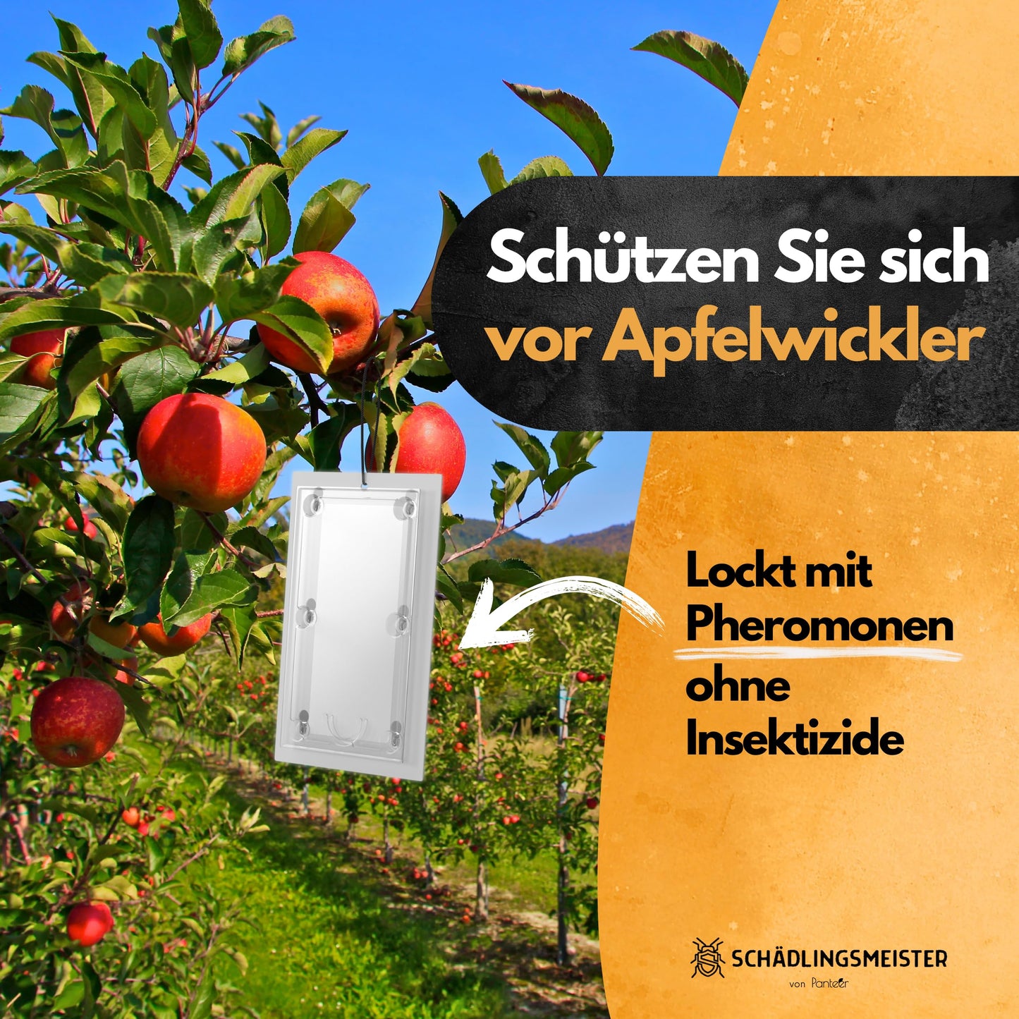 Apfelwickler Falle - 3 Stück - Mit Schnur - Zum Monitoring