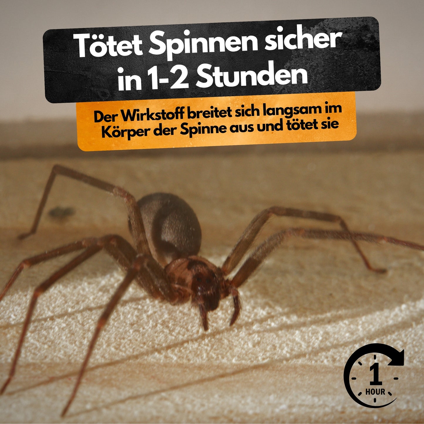 Spinnenspray (AMP 2 CL) - 500ml