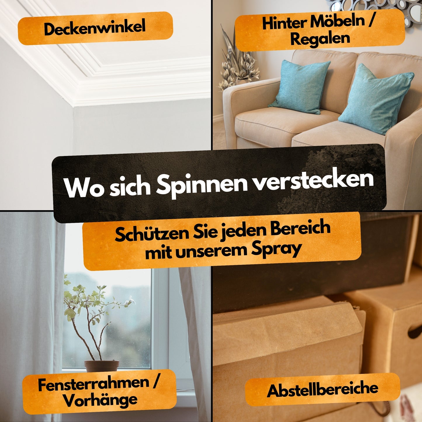 Spinnenspray (AMP 2 CL) - 500ml