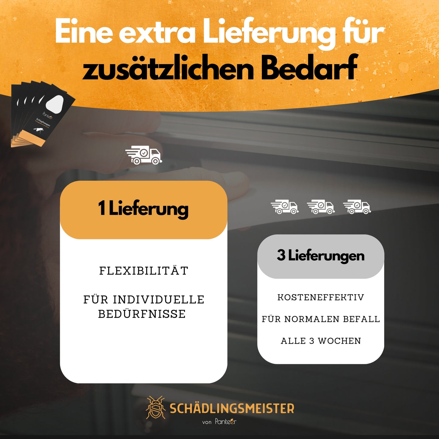 Schlupfwespen gegen Lebensmittelmotten - EINZELLIEFERUNG