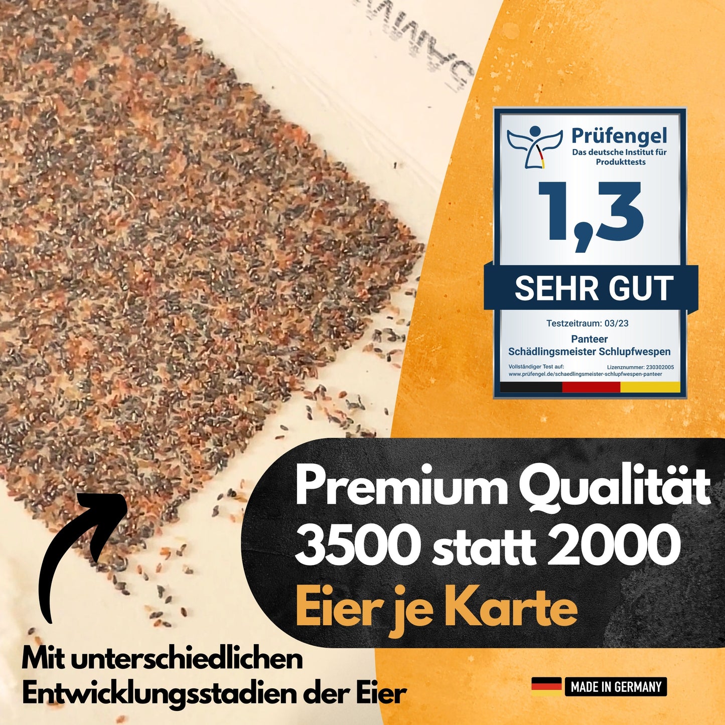 Schlupfwespen gegen Lebensmittelmotten + GRATIS Mottenfalle (mehrere Lieferungen)