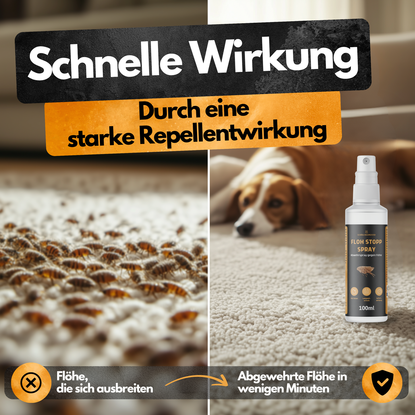Floh Stopp Spray – 100 ml – Hoch konzentriert – 12 Wochen Langzeitschutz