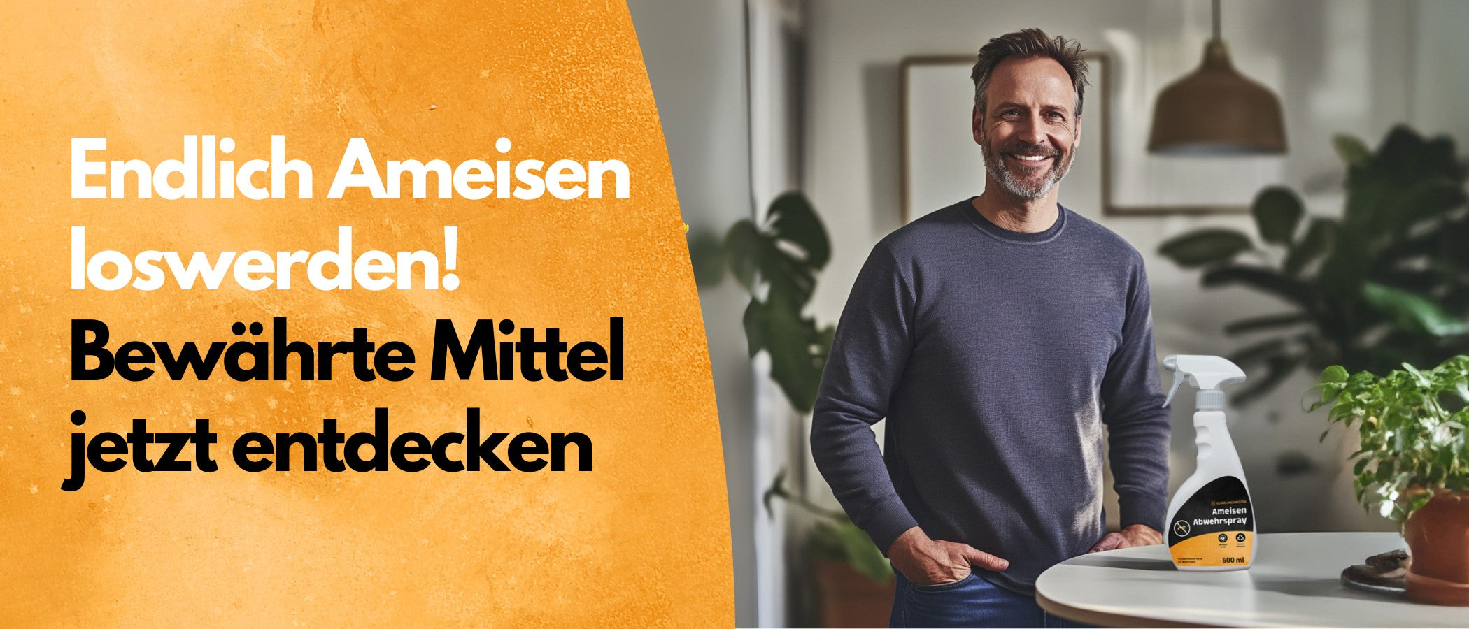 Endlich Ameisen loswerden! Bewährte Produkte entdecken