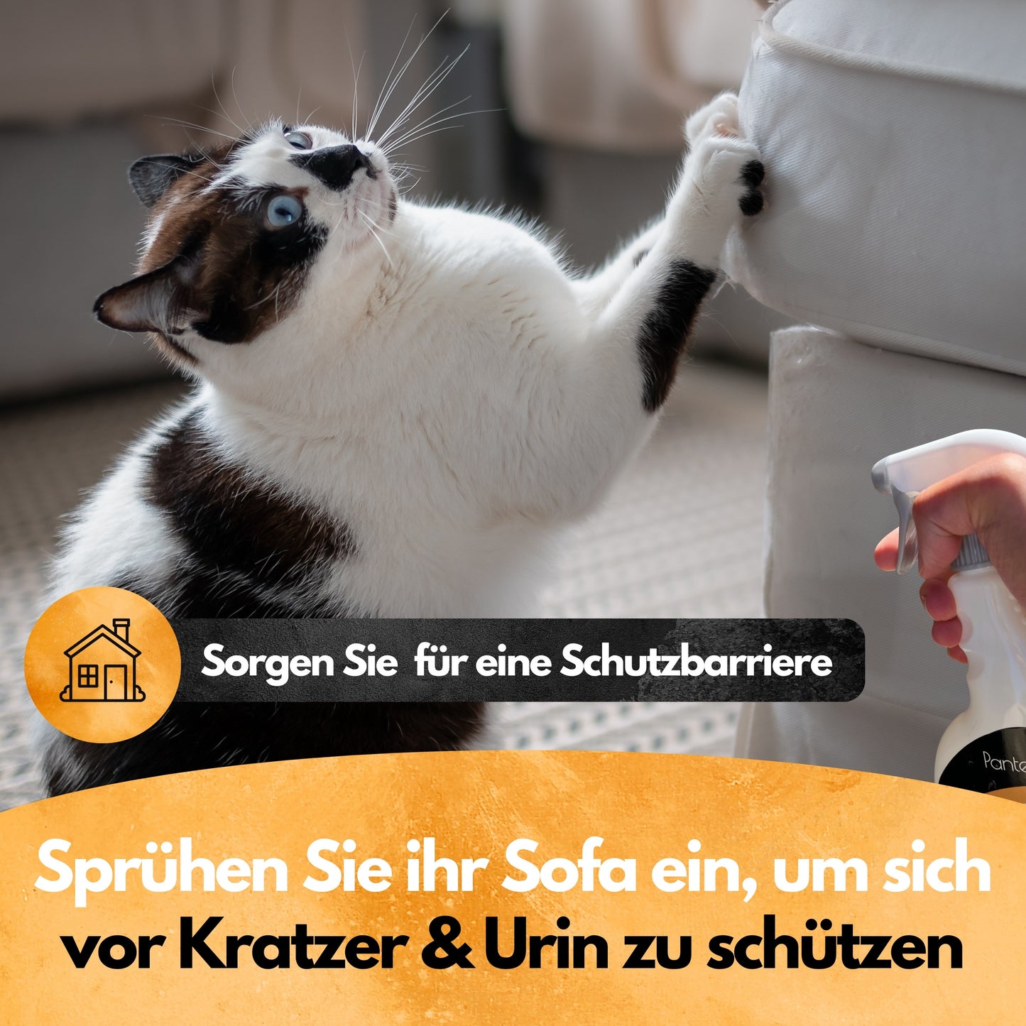Contra Katz Spray - Katzenabwehrspray 500ml