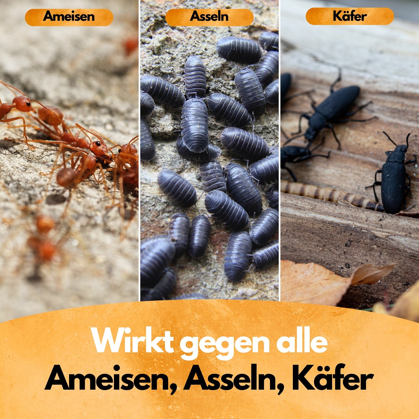 Ameisen Abwehr Pulver – 4 Kg XXL Set – Für Innen & Außen