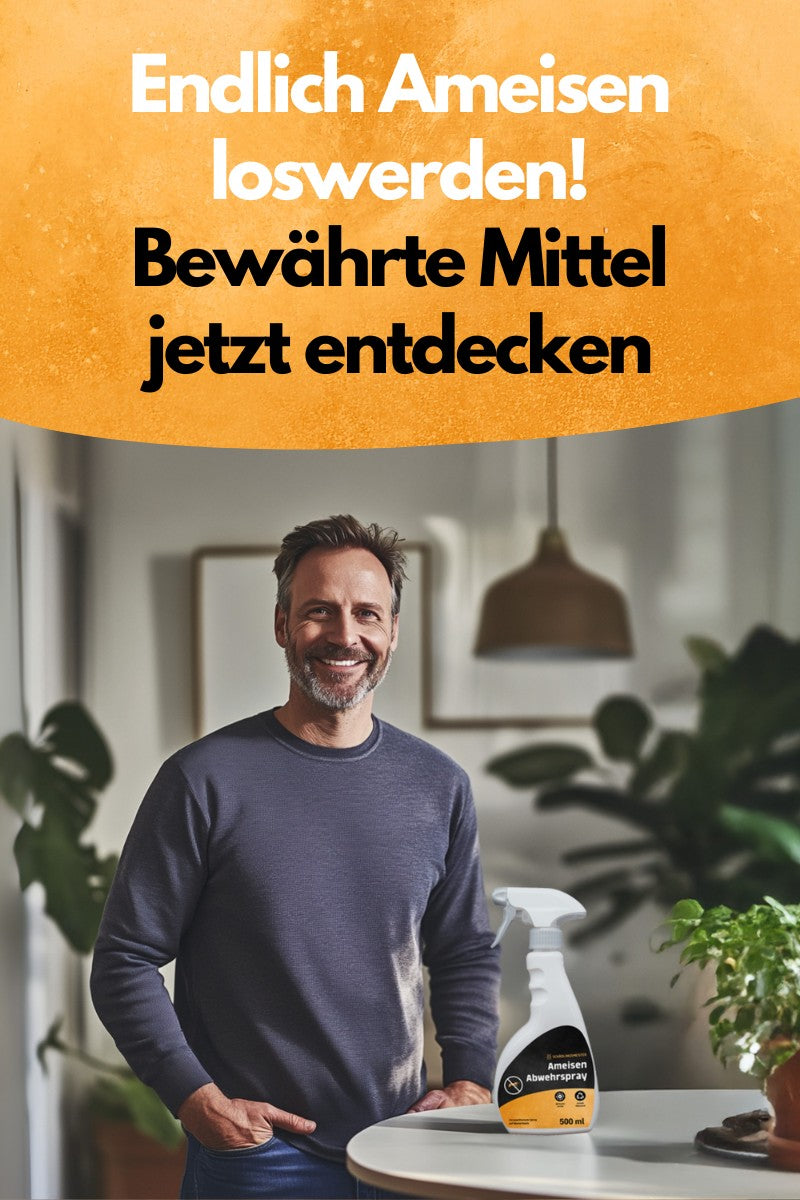 Endlich Ameisen loswerden! Bewährte Produkte entdecken