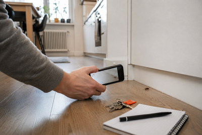 Kakerlaken in der Mietwohnung: Vermieter, Meldung und Kosten