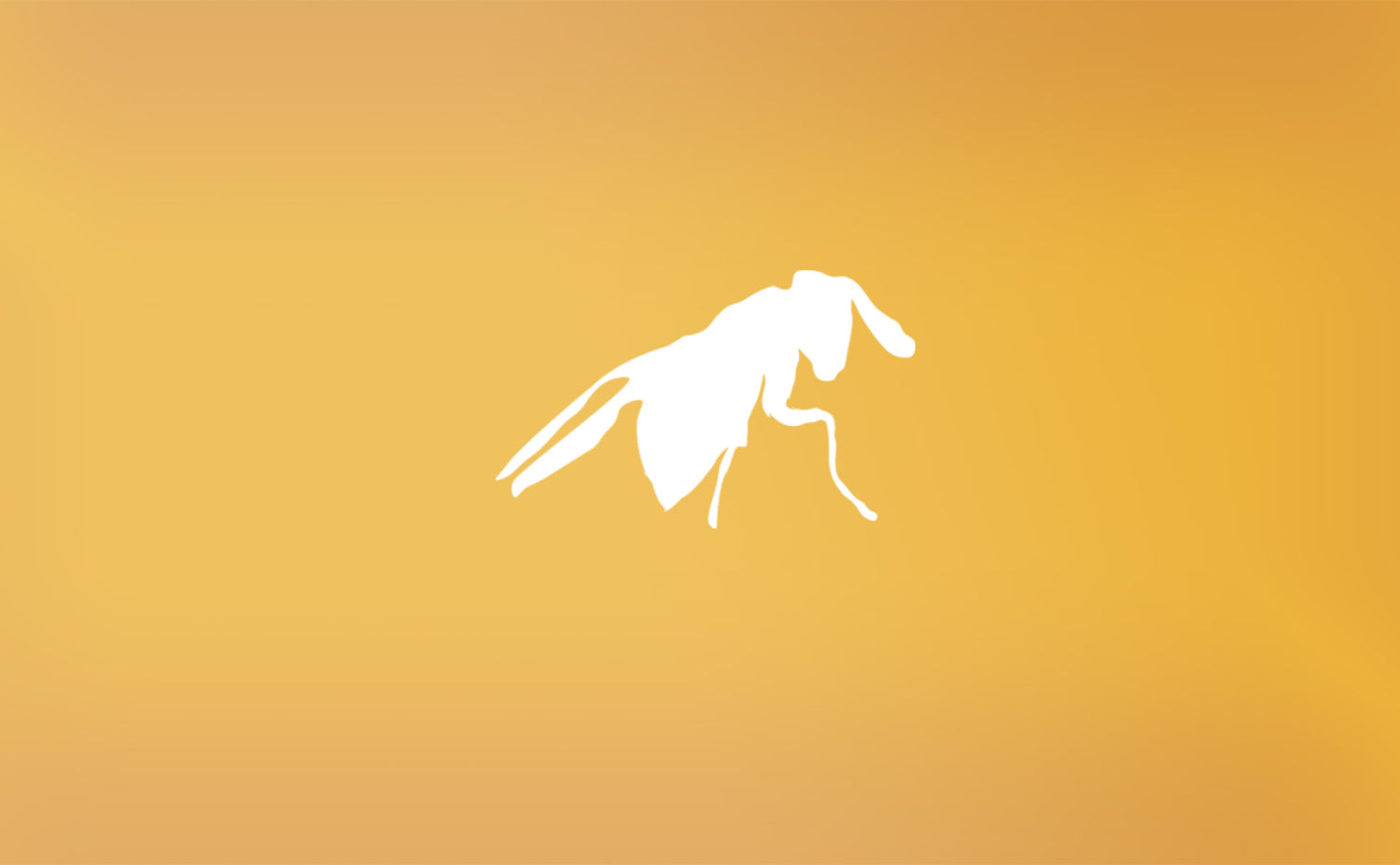 Schlupfwespen kaufen: Lebensmittelmotten und Kleidermotten