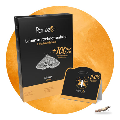 Lebensmittel-Mottenfalle - 6 Stück - 100% mehr Pheromone - Zum Monitoring