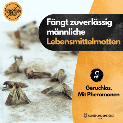 Mottenfalle Lebensmittel - 10 Stück Spar Set (Zur Bedarfskontrolle)