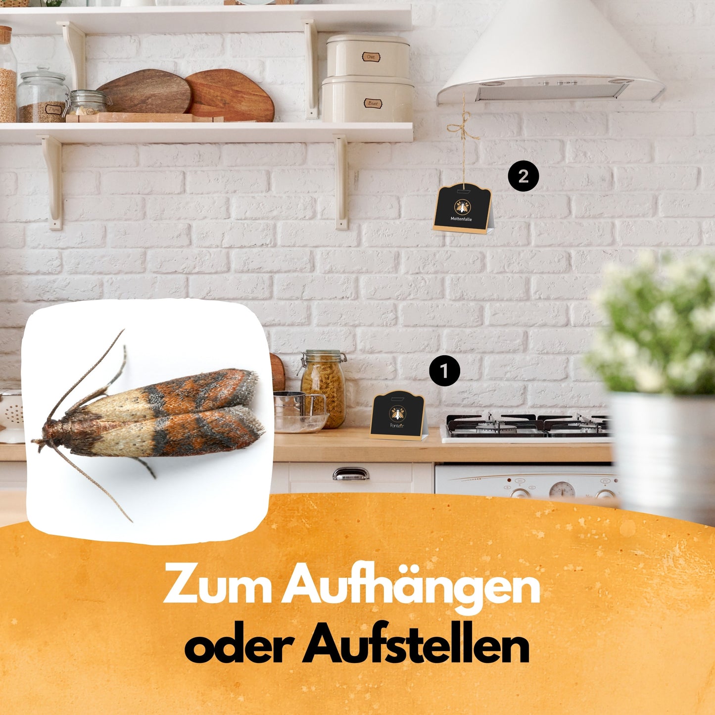Lebensmittel-Mottenfalle - 6 Stück - 100% mehr Pheromone - Zum Monitoring