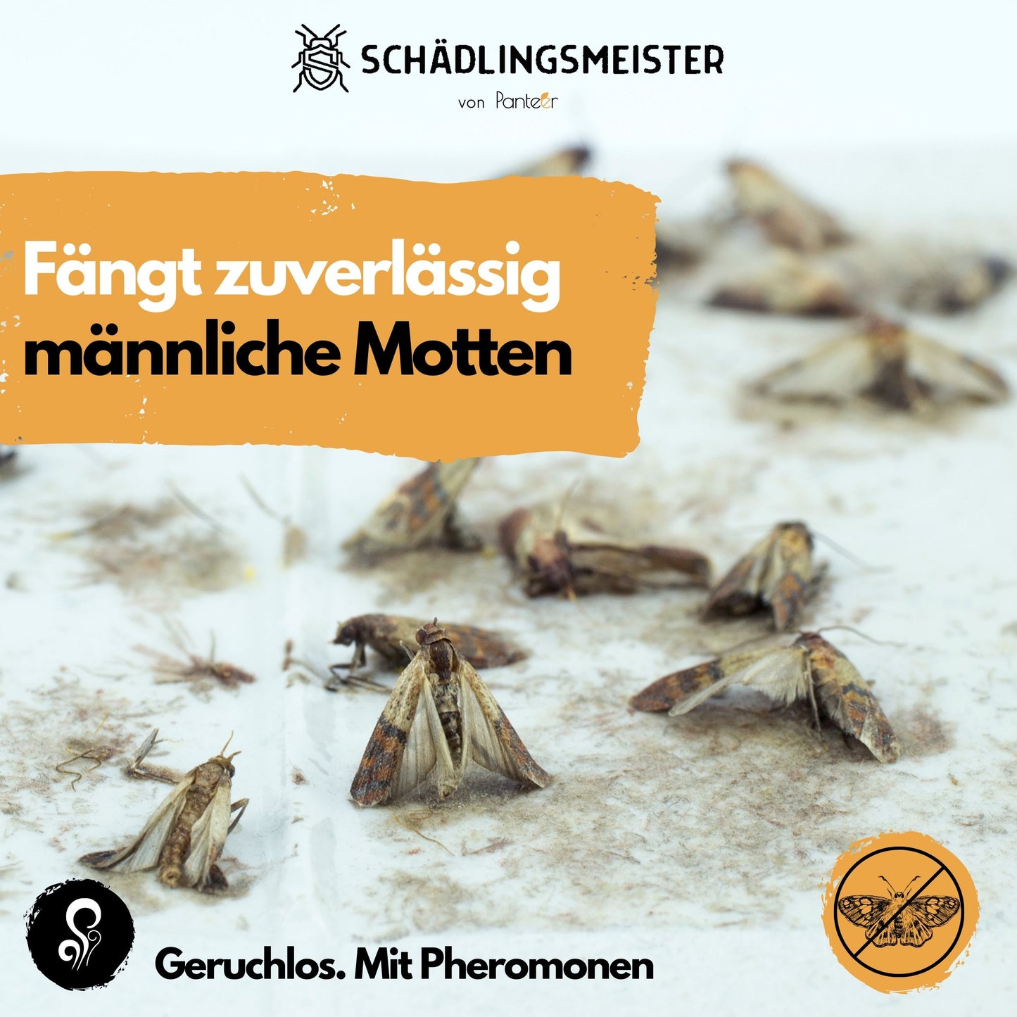 Panteer ®Kleidermotten Mottenfalle -  BEDARFSKONTROLLE