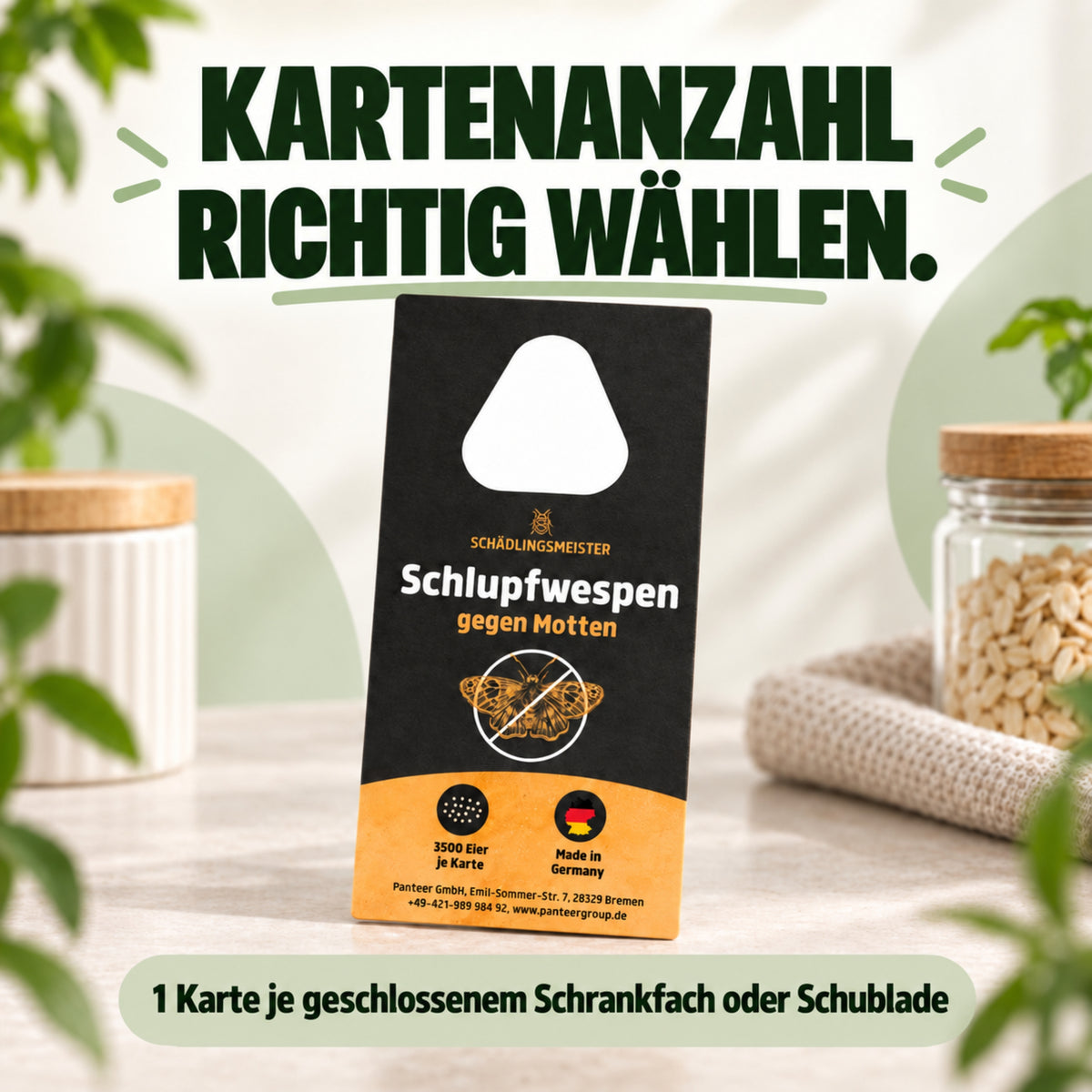Schlupfwespen gegen Lebensmittelmotten + GRATIS Mottenfalle (mehrere Lieferungen)