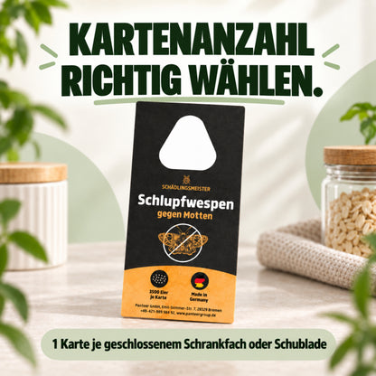Schlupfwespen gegen Lebensmittelmotten + GRATIS Mottenfalle (mehrere Lieferungen)