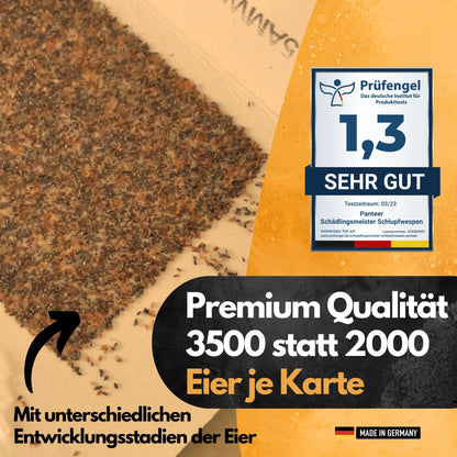 Panteer ® Schlupfwespen gegen Kleidermotten - 5 Lieferungen