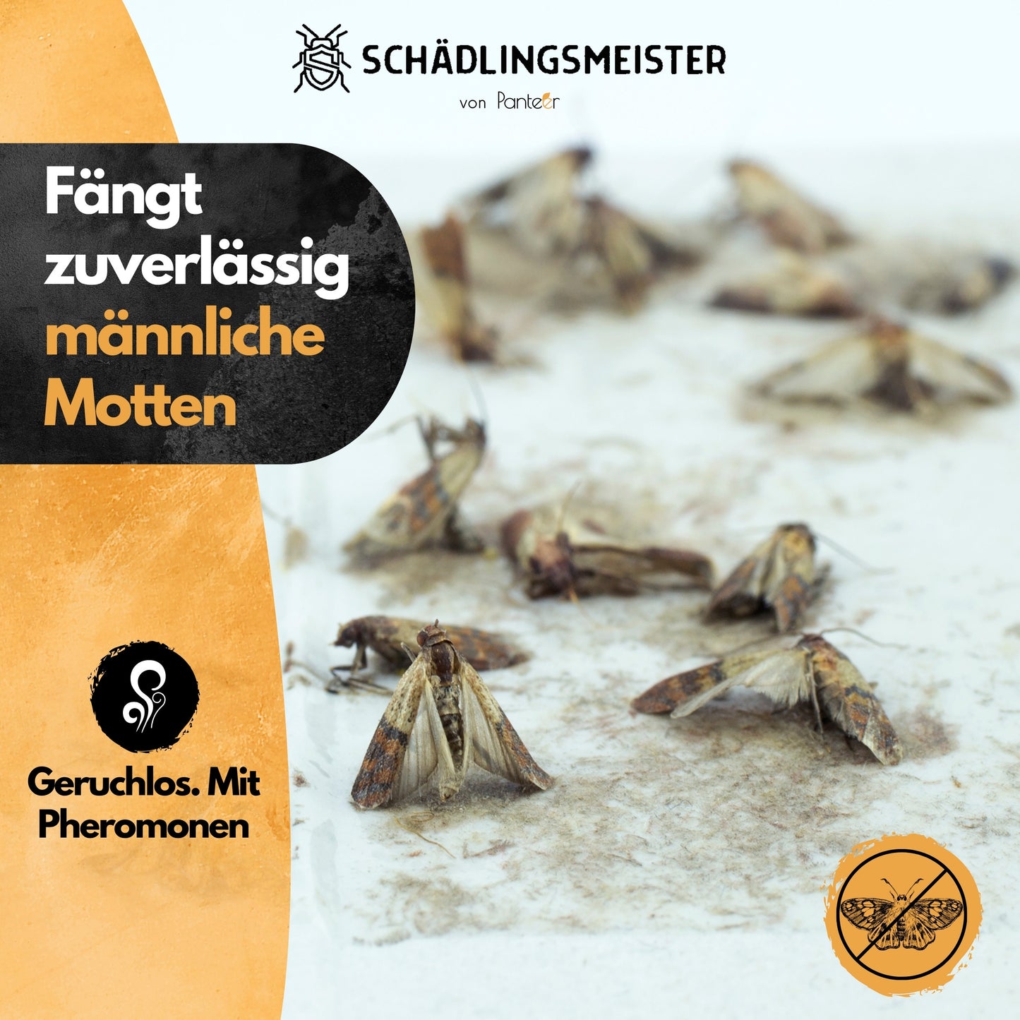Lebensmittel-Mottenfalle - 6 Stück - 100% mehr Pheromone - Zum Monitoring