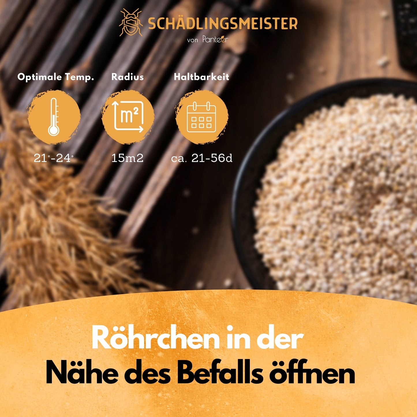 Lagerpiraten gegen Speckkäfer und Reismehlkäfer - 30 Nützlinge