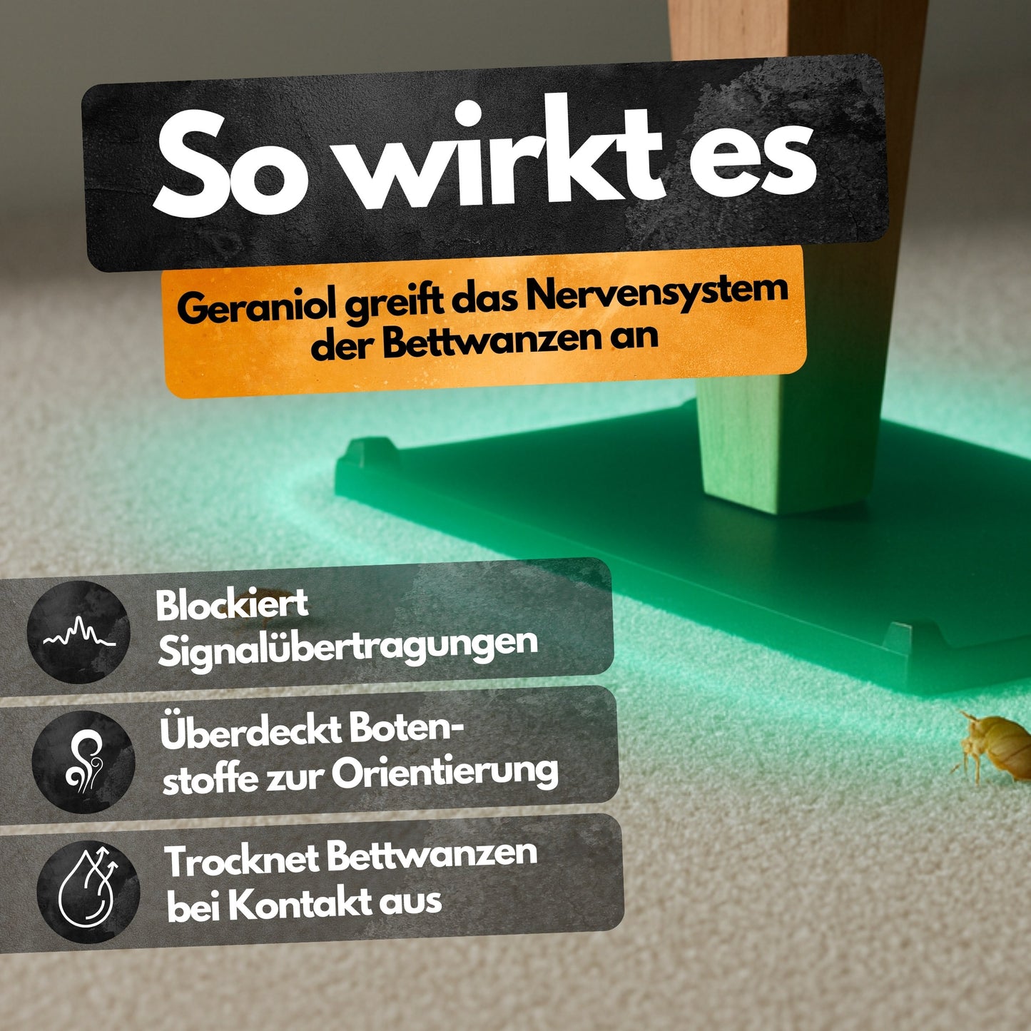 Bettwanzen Abwehrplatten - 4 Stück - Repellent