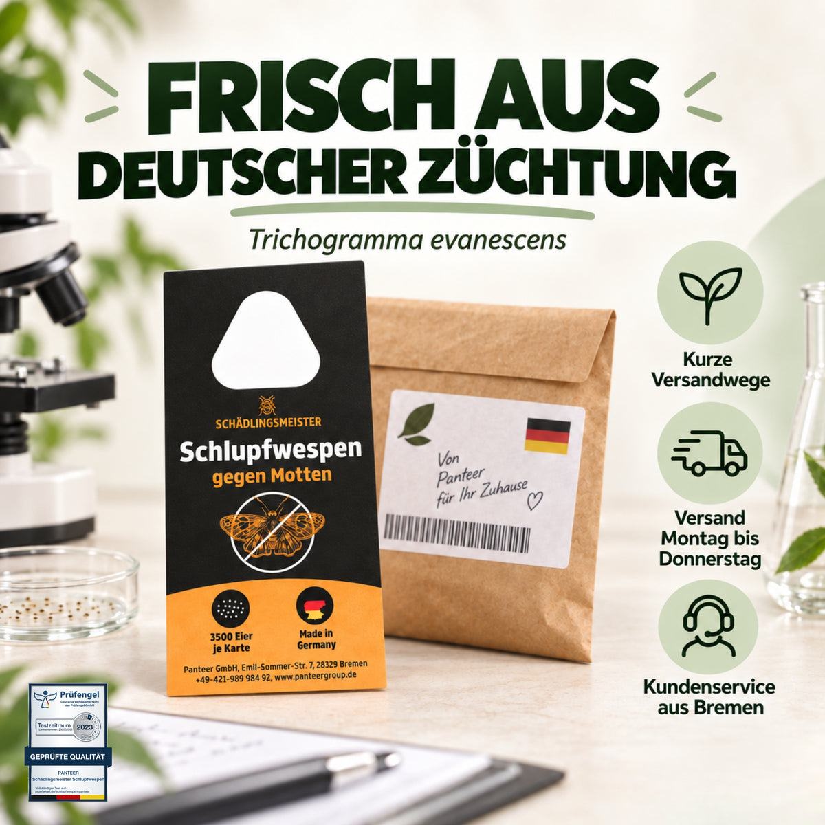 Schlupfwespen gegen Lebensmittelmotten + GRATIS Mottenfalle (mehrere Lieferungen)