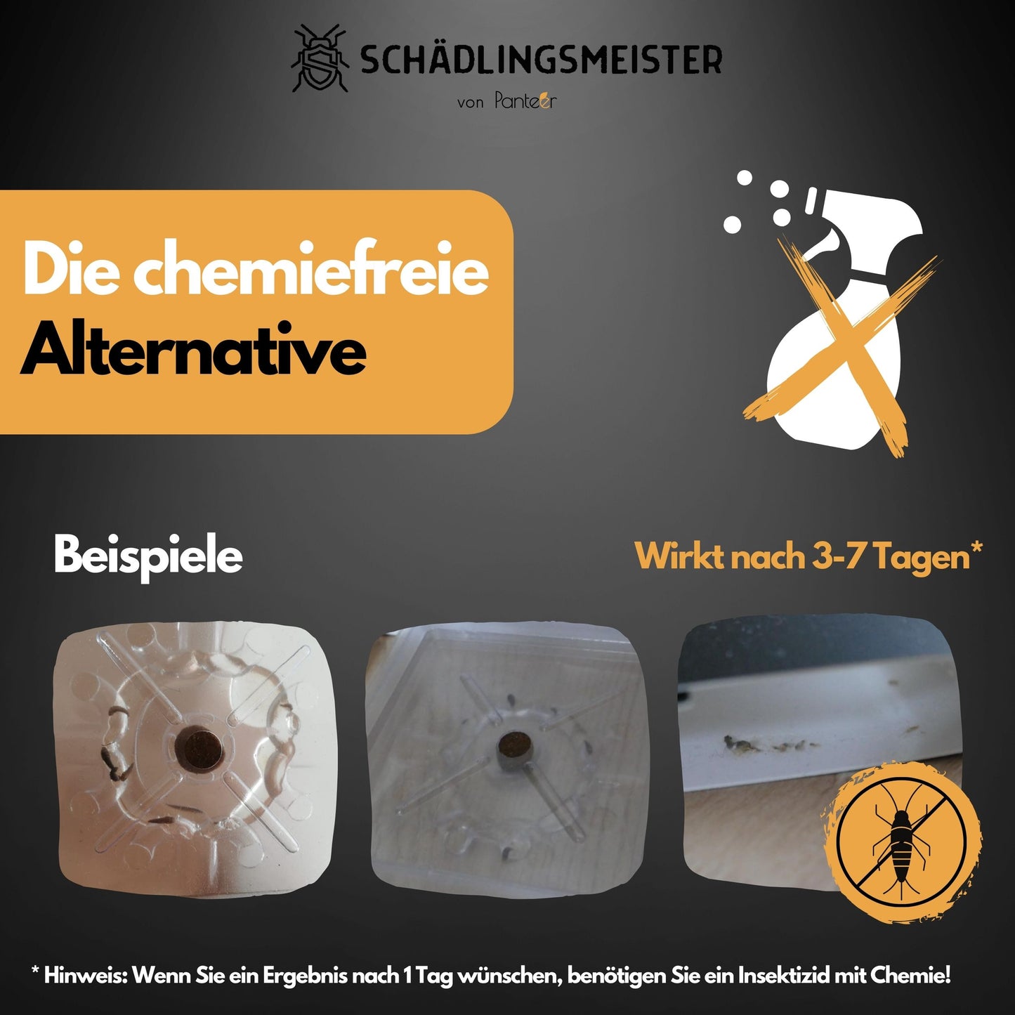 Silberfisch Falle -  Doppelset ohne Insektizide