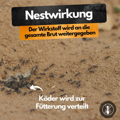 Ameisenköder Dose mit Nestwirkung – gegen alle Ameisenarten – für innen & außen – starker Lockstoff