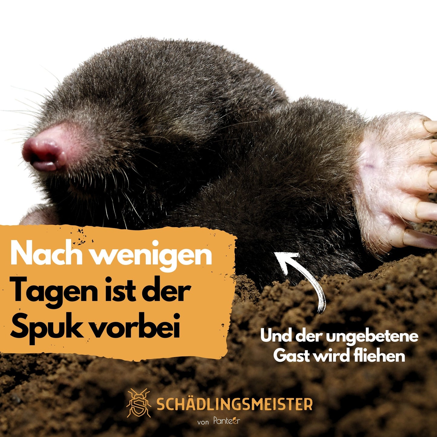 Schädlingsmeister Wühlmaus Granulat - Abwehr Granulat - 300g