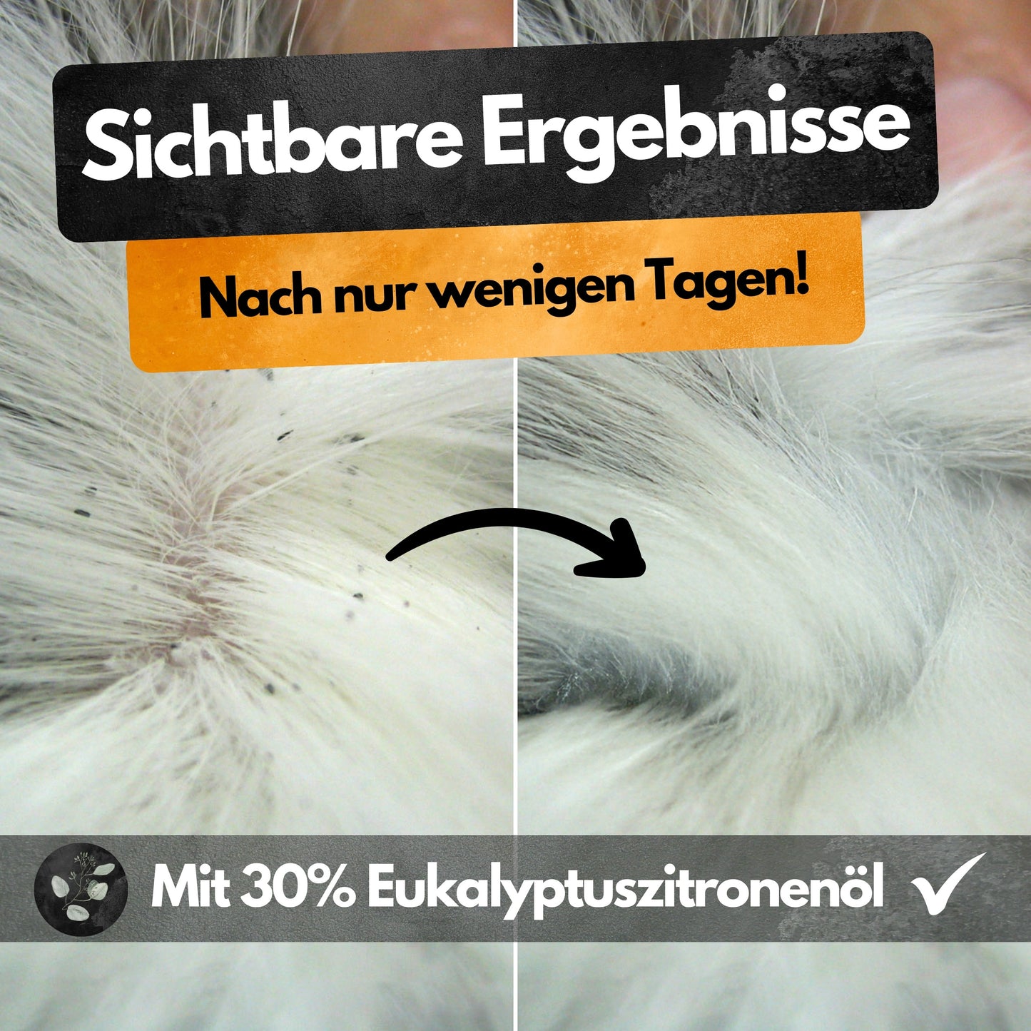 Spot On Repellent - 3 Tuben - Gegen Flöhe, Zecken, Läuse - Für Katzen und Hunde