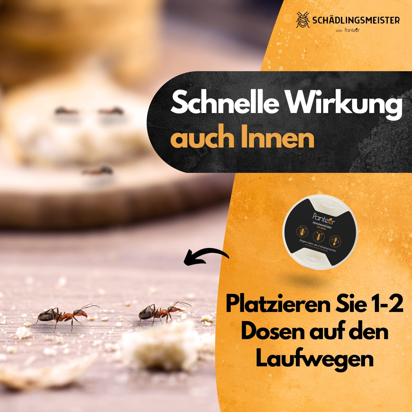 Ameisenköder Dose mit Nestwirkung – gegen alle Ameisenarten – für innen & außen – starker Lockstoff