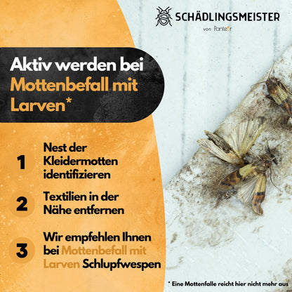 Lebensmittel-Mottenfalle - 6 Stück - 100% mehr Pheromone - Zum Monitoring