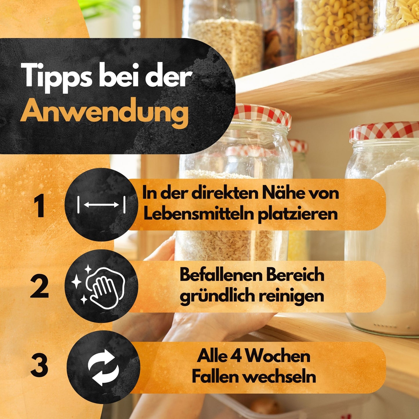 Mottenfalle Lebensmittel - 10 Stück Spar Set (Zur Bedarfskontrolle)