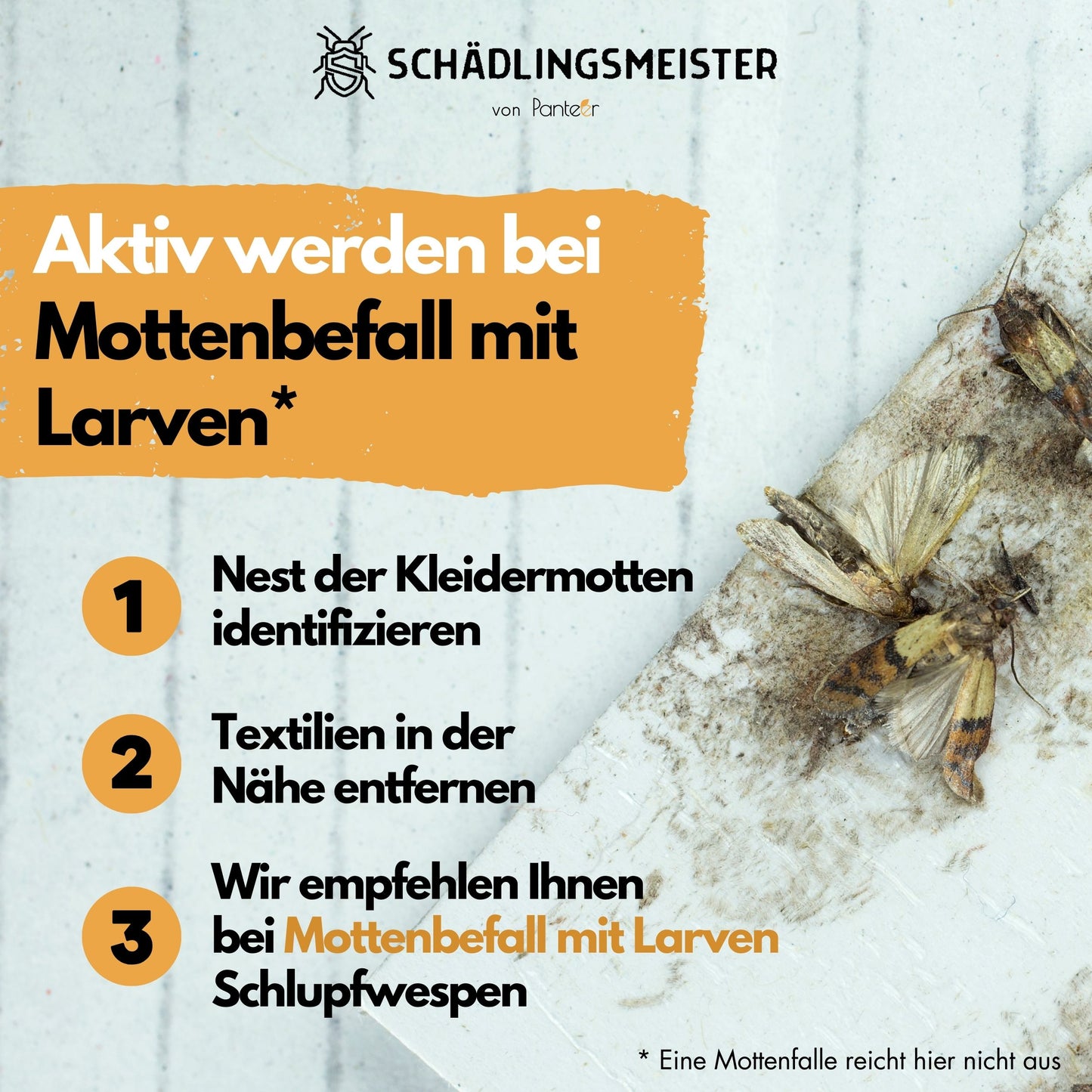 Panteer ®Kleidermotten Mottenfalle -  BEDARFSKONTROLLE