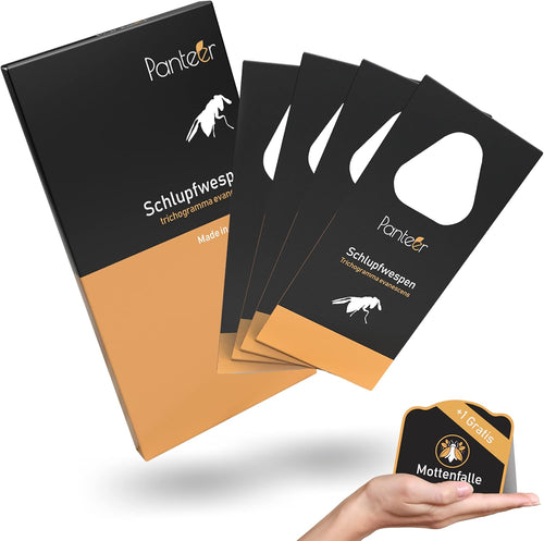 Schlupfwespen gegen Lebensmittelmotten + GRATIS Mottenfalle (mehrere Lieferungen)