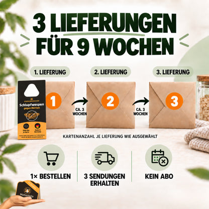 Schlupfwespen gegen Lebensmittelmotten + GRATIS Mottenfalle (mehrere Lieferungen)