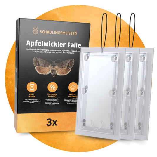 Apfelwickler Falle - 3 Stück - Mit Schnur - Zum Monitoring