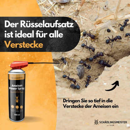 Ameisen Power Spray