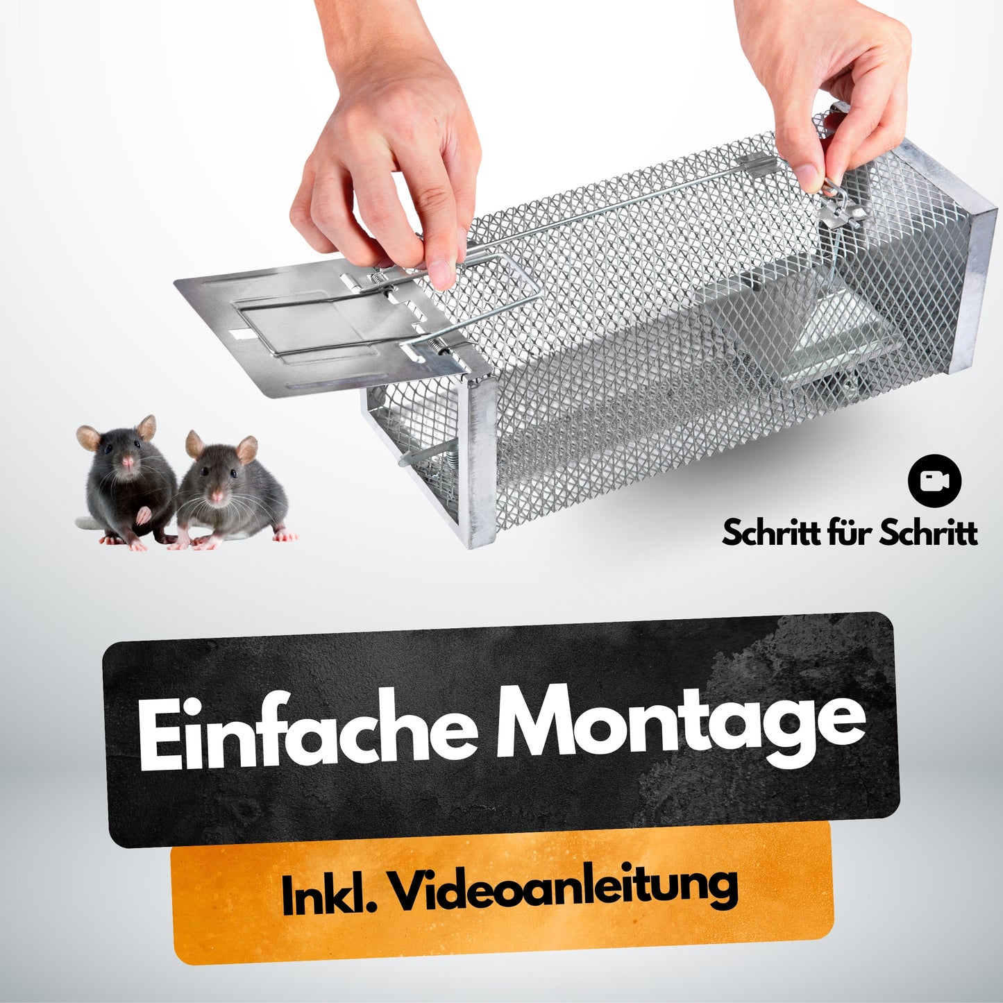 Rattenfalle Komplettset inkl. Köder - Lebendfalle - Vollverzinkt