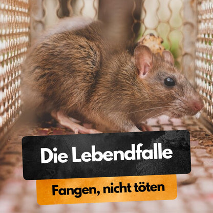 Rattenfalle Komplettset inkl. Köder - Lebendfalle - Vollverzinkt