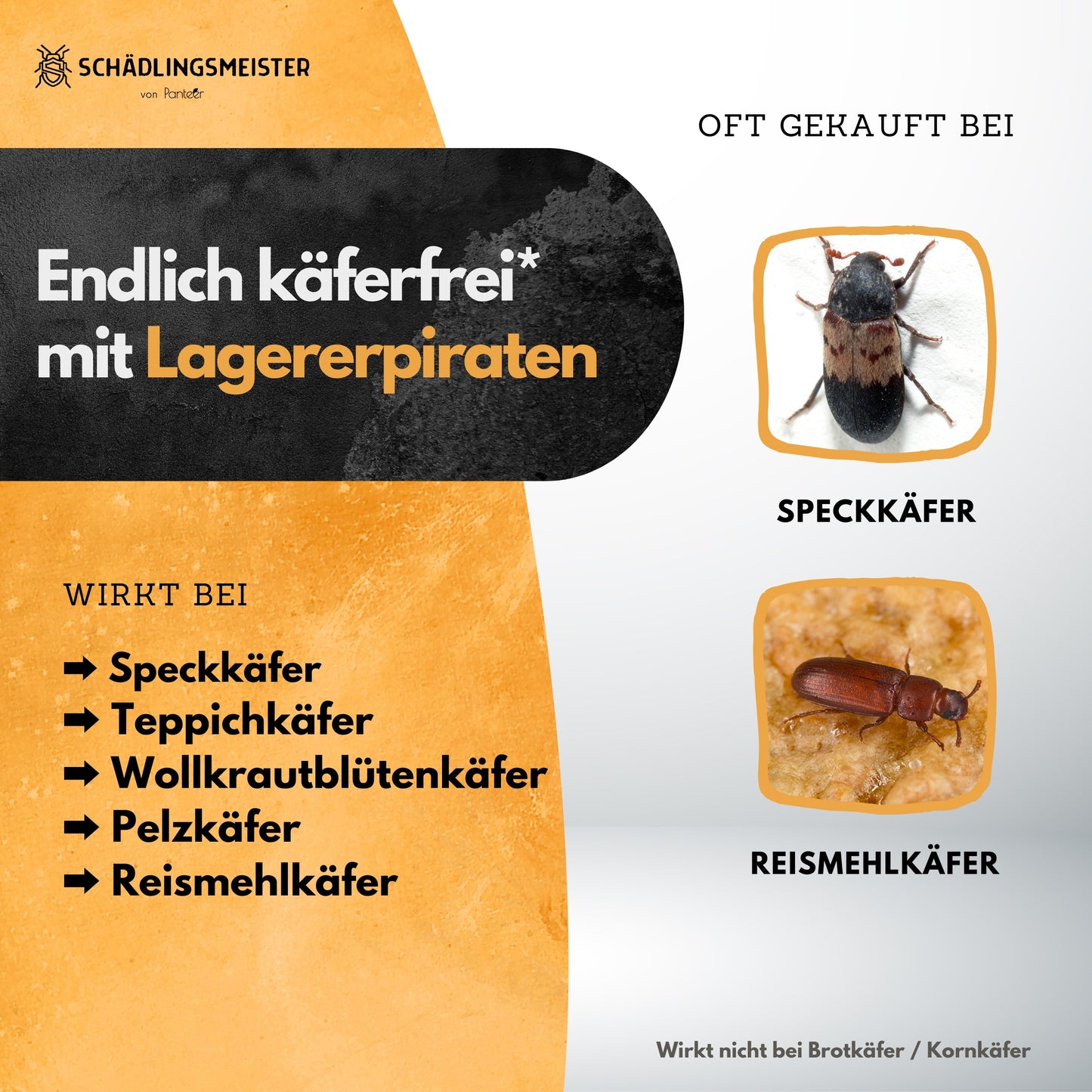 Lagerpiraten gegen Speckkäfer und Reismehlkäfer - 30 Nützlinge