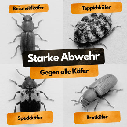 Käfer Insektizid! – Insekten Ex Kanister – 5L – Anwendungsfertig