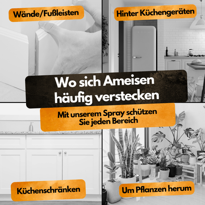 Ameisen Stopp Spray - 100 ml - Hoch konzentriert - 12 Wochen Langzeitschutz