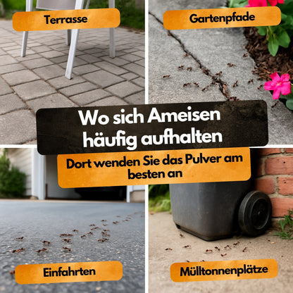Ameisen Abwehr Pulver – 4 Kg XXL Set  – Für Innen & Außen