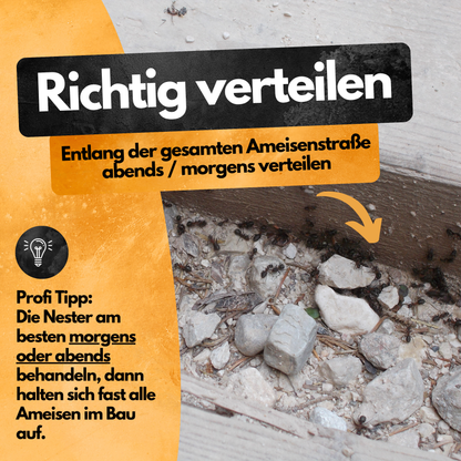 Ameisen Abwehr Pulver – 500 g – Für Innen & Außen – PT19 Repellent